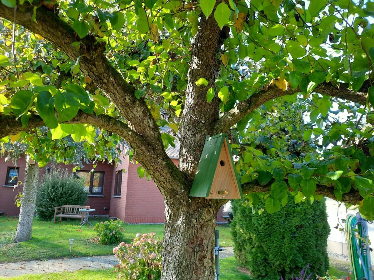 Das kleine, gemütliche Ferienhaus Ludorf Exterior foto
